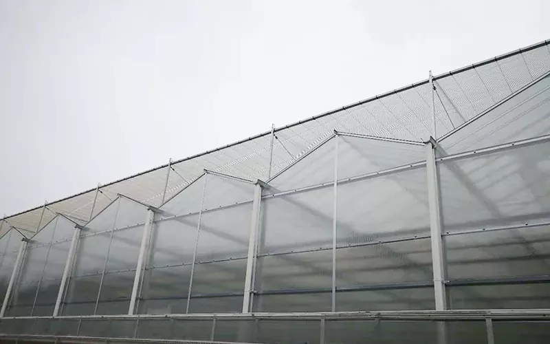 Kehittynyt PC Greenhouse Technology Pioneers Kestävät maatalous