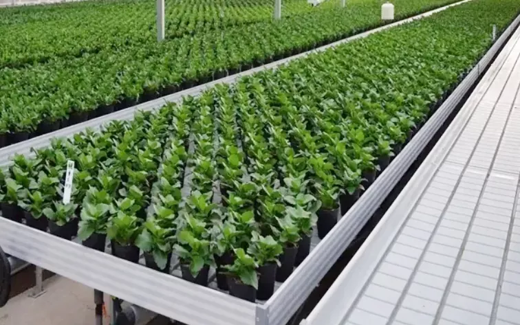 Greenhouse Nursery Abs muoviset hydroponiset alustat