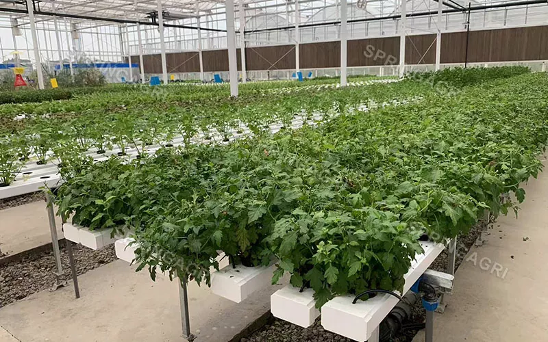 Pystysuuntaiset NFT Farming -hydroponiset kasvatusjärjestelmät